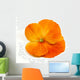 Flower Wall Mural