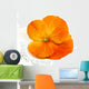 Flower Wall Mural