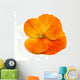 Flower Wall Mural