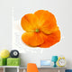 Flower Wall Mural