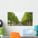 Allee Wall Decal