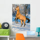 Golden Akhal-teke Horse Portrait