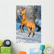 Golden Akhal-teke Horse Portrait