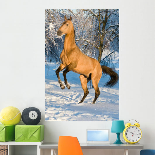 Golden Akhal-teke Horse Portrait
