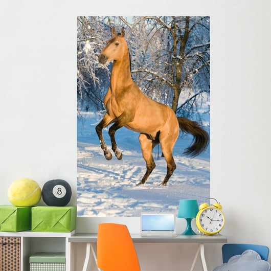 Golden Akhal-teke Horse Portrait