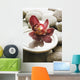 décor  floral zen Wall Mural