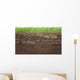 Grass and soil layers isolated on white Wall Mural