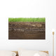 Grass and soil layers isolated on white Wall Mural