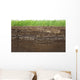 Grass and soil layers isolated on white Wall Mural