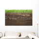 Grass and soil layers isolated on white Wall Mural