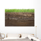 Grass and soil layers isolated on white Wall Mural