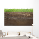 Grass and soil layers isolated on white Wall Mural