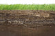 Grass and soil layers isolated on white Wall Mural