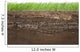 Grass and soil layers isolated on white Wall Mural