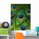 Peacock Feather New 3