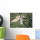 Parque Da Ferradura-cinnamon Wall Decal