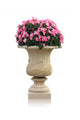 Flower Urn Wall Mural