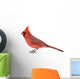 Northern Cardinal Wall Decal