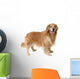 Golden Retriever Standing Wall Decal