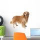 Golden Retriever Standing Wall Decal