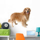 Golden Retriever Standing Wall Decal