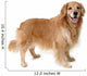 Golden Retriever Standing Wall Decal