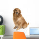 Sitting Golden Retriever Wall Decal