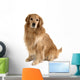 Sitting Golden Retriever Wall Decal