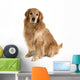 Sitting Golden Retriever Wall Decal