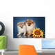 Spitz Puppies 5 Months Wall Mural