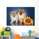 Spitz Puppies 5 Months Wall Mural