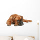 German Boxer Puppy 5