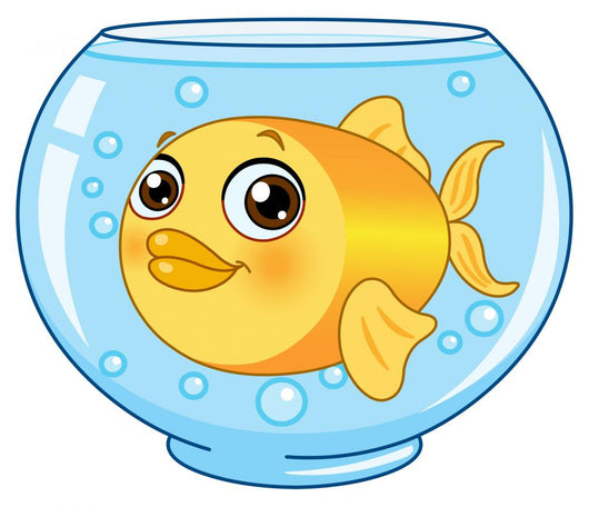 Goldfish
