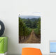 Vineyard Row Wall Decal