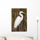 Snowy Egret