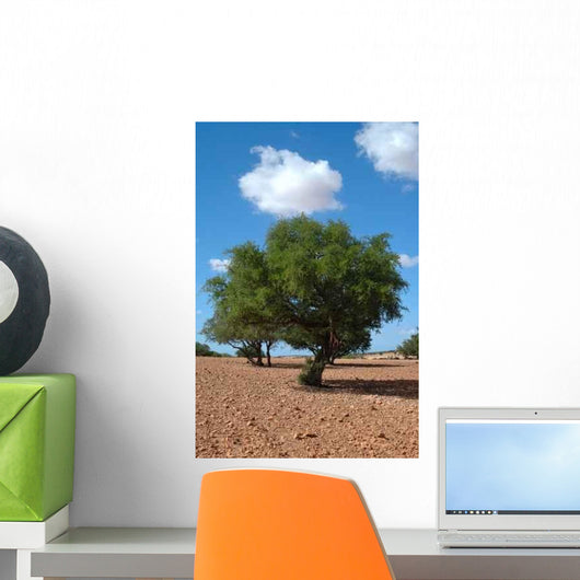Culture Argan Wall Decal