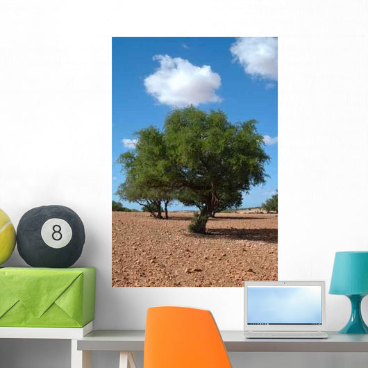 Culture Argan Wall Decal