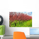 Fruit Orchard Wall Decal