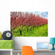 Fruit Orchard Wall Decal
