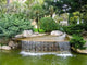 Monte Carlo Garden Wall Decal
