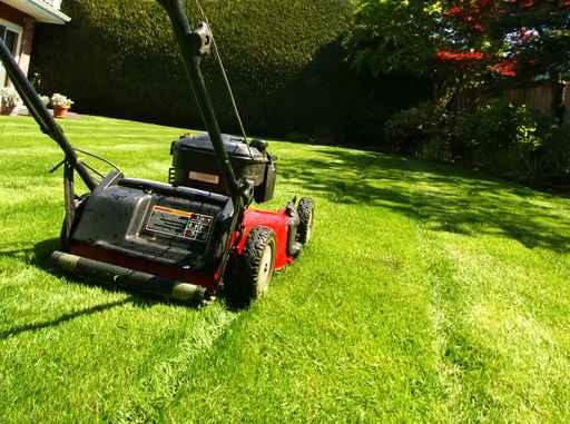 Lawn Mowing Wall Decal Design 2