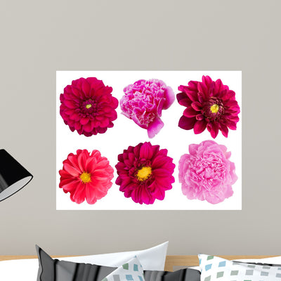 Flowers Peonies Dahlias Herbarium shown on a wall
