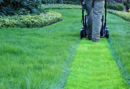 Lawn Maintenance Company Wall Decal