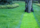 Lawn Maintenance Company Wall Decal