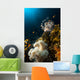 Lionfish and Tropical Underwater Wall Mural