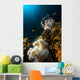Lionfish and Tropical Underwater Wall Mural