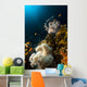 Lionfish and Tropical Underwater Wall Mural