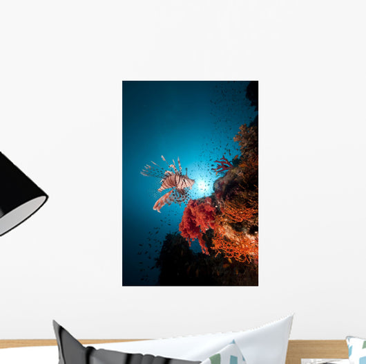 Lionfish and Tropical Underwater