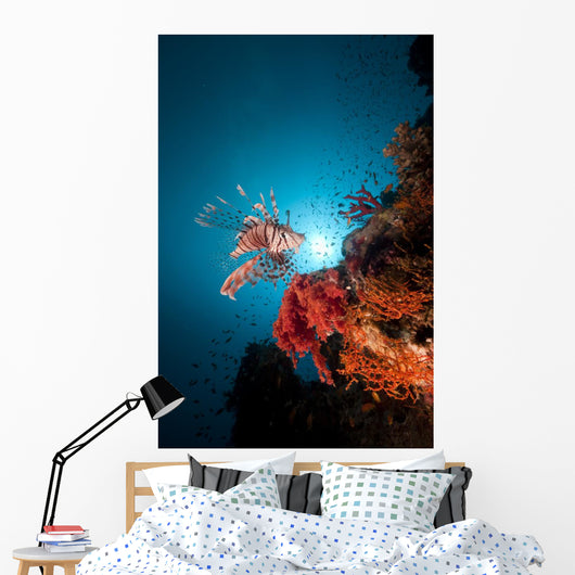 Lionfish and Tropical Underwater