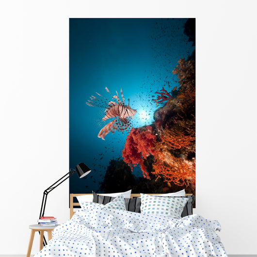 Lionfish and Tropical Underwater